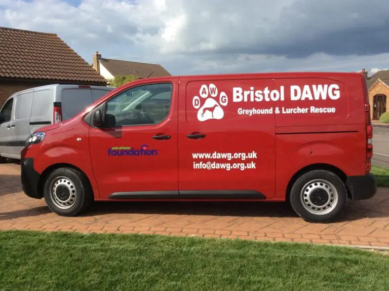 Bristol DAWG new charity van