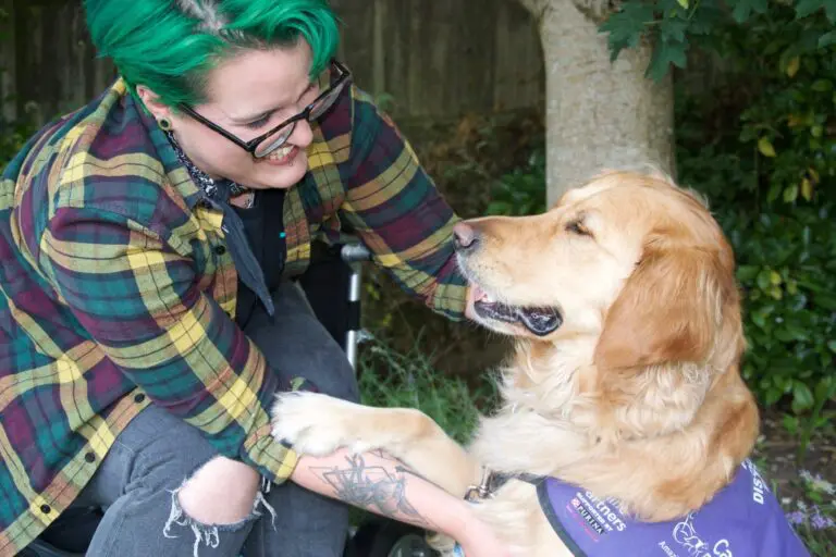 Canine Partners dog and owner