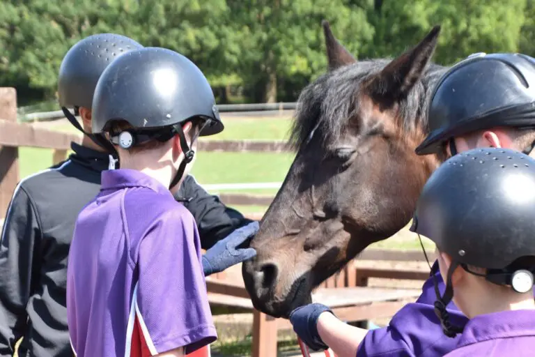 Kids petting a horse
