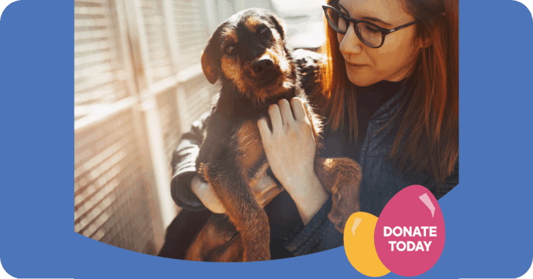 Woman with glasses holding a brown coloured dog