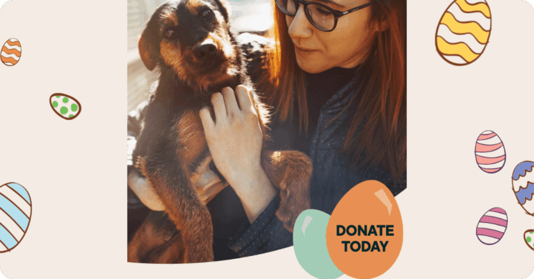 A woman holding a dog and coloured easter eggs in graphic illustration on background of image.