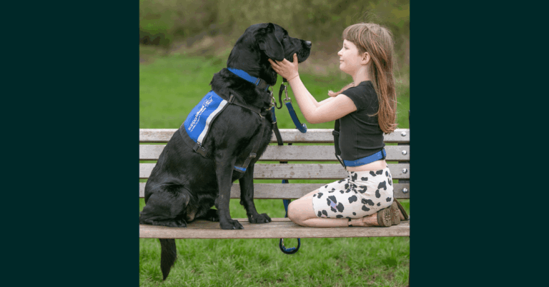 A young girl sitting on a bench with a black lab Support Dog. They're both facing each other and she has her hands underneath his muzzle.