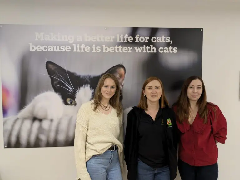 Three women standing in front of a cat poster that says, "Making a better life for cats, because life is better with cats."
