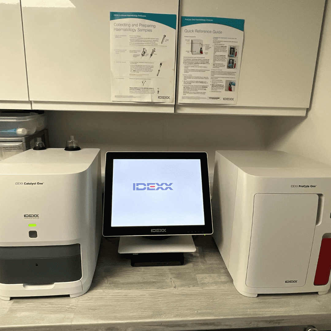 IDEXX blood machine sitting on a table.
