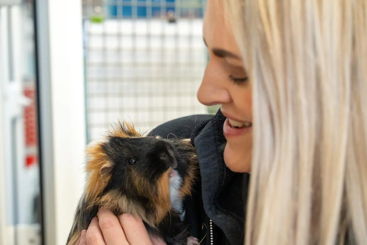 Women holding a guinea pig at a Pets Foundation rescue visit