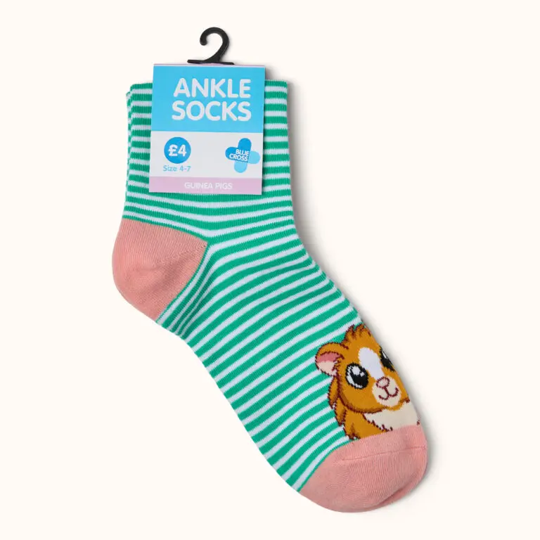 Blue Cross Summer Appeal Guinea Pig Ankle Socks with retail packaging, showing the striped sock design and guinea pig motif, size 4-7.