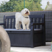 The new exercise areas at Bleakholt Animal Sanctuary