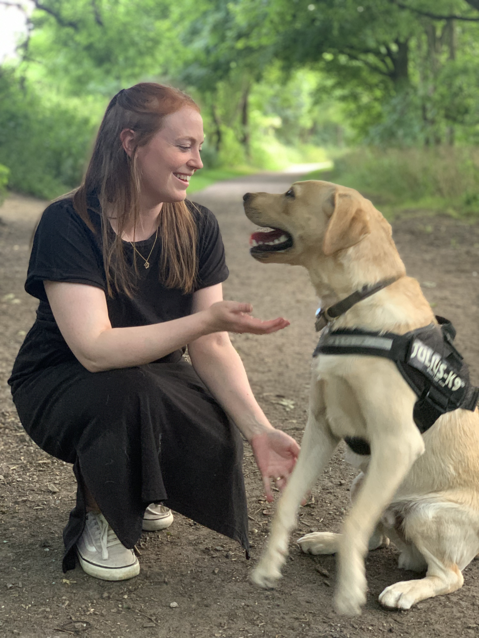 Asia and yellow lab Marlo