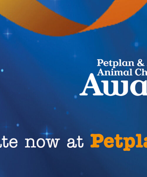 Pets Foundation received a nomination…