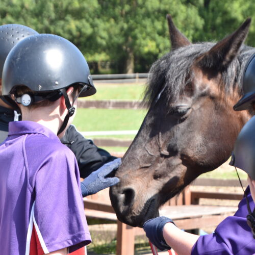 Kids petting a horse