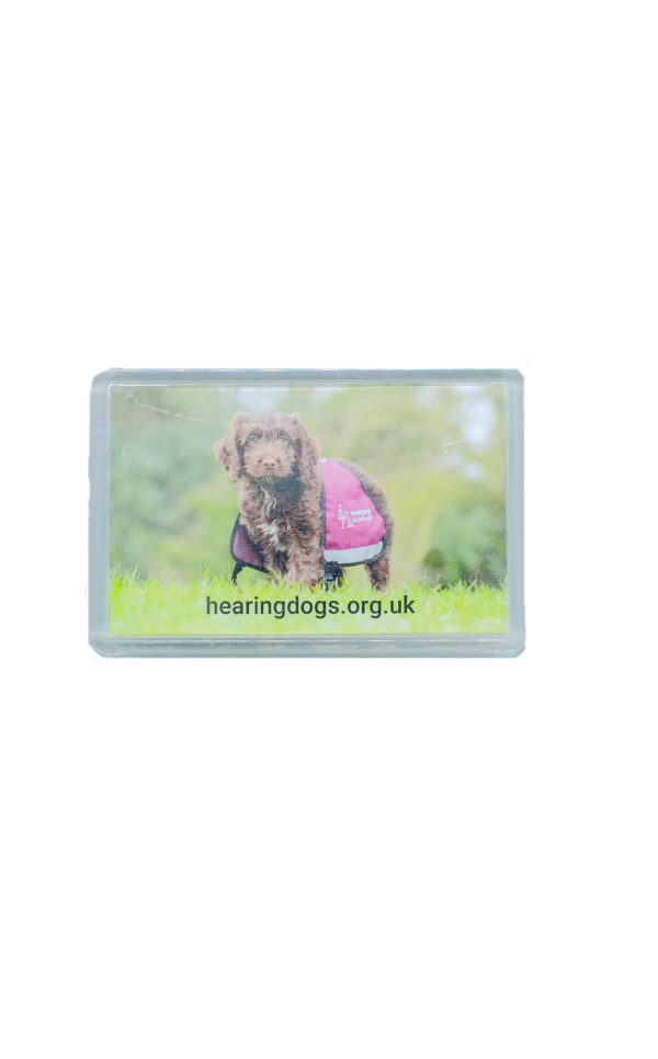 Hearing Dog Fridge Magnet