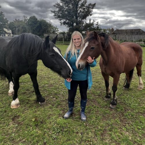 Anna Weffare Admin and her horses