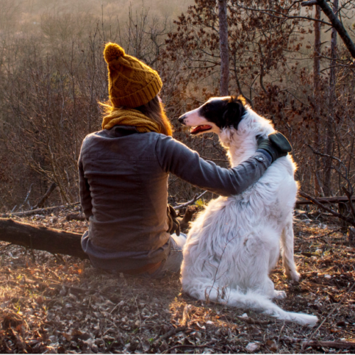 A woman with a brown bobble hat and glove with her arm around a white setter dog with brown ears, sitting on the ground. She has her back turned to the camer and the dog's head is turned looking a her.