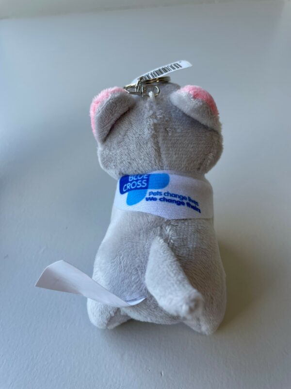 Blue Cross Summer Appeal Plush Cat Keychain - Image 2