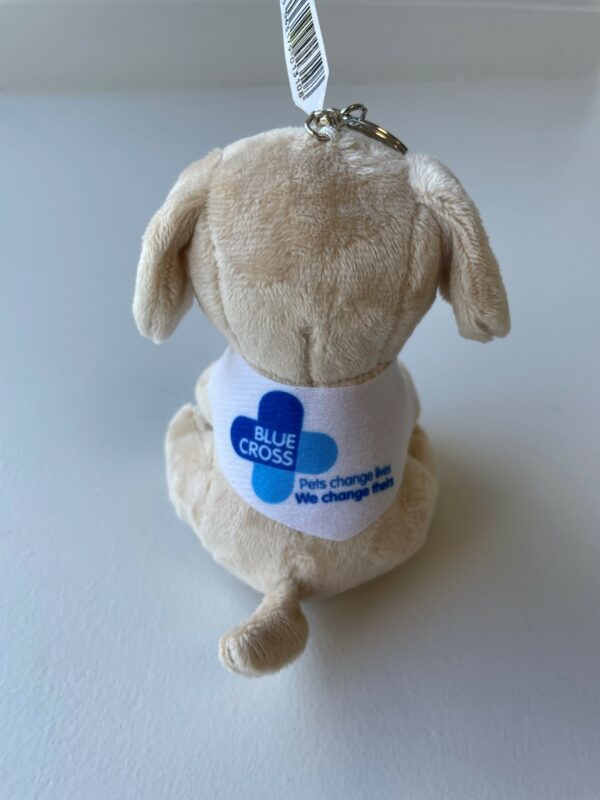 Blue Cross Summer Appeal Plush Dog Keychain - Image 2