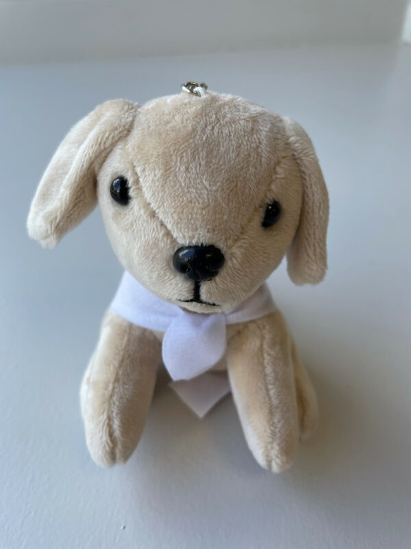 Blue Cross Summer Appeal Plush Dog Keychain