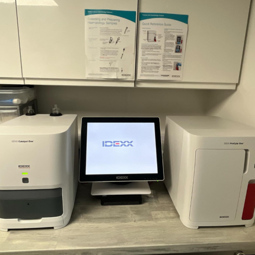 IDEXX blood machine sitting on a table.