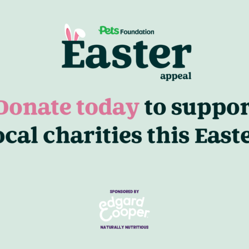 Pets Foundation Easter Appeal logo. Donate today to support local charities this Easter. Edgar Cooper logo.