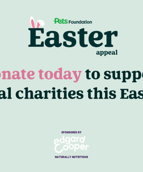 Our Easter Appeal arrives next week